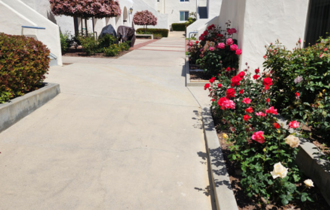 Cardiff By The Sea Senior Apartments