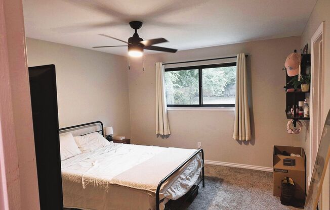 Modern Living Meets Classic Comfort in This Crowley Beauty