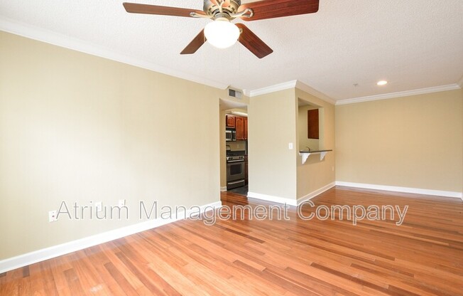 2019 Dixie Belle Drive