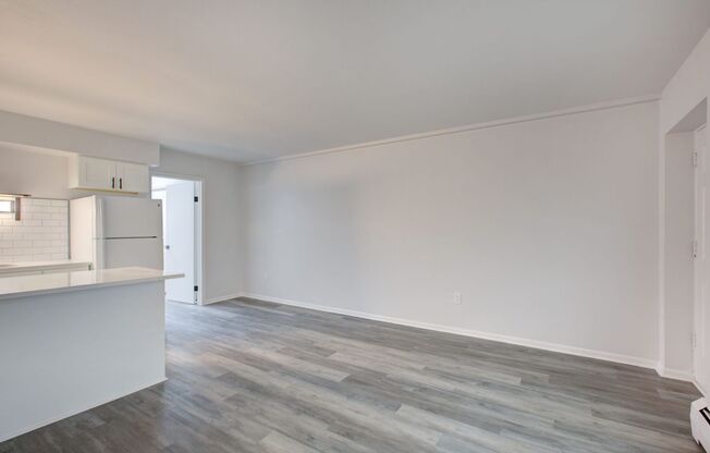 Studio, 1 bath, 380 sqft, $1,125, Unit Unit 5