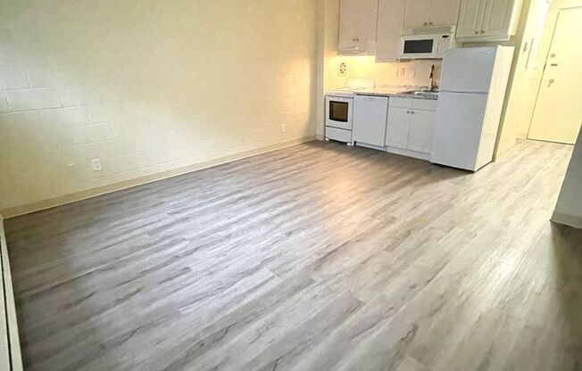 Studio, 1 bath, 302 sqft, $1,125, Unit 111