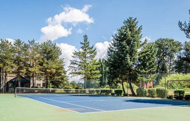 Kent Apartments - Signature Pointe Apartment Homes - Tennis Court