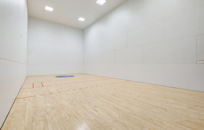 A squash court with a blue disc in the middle.