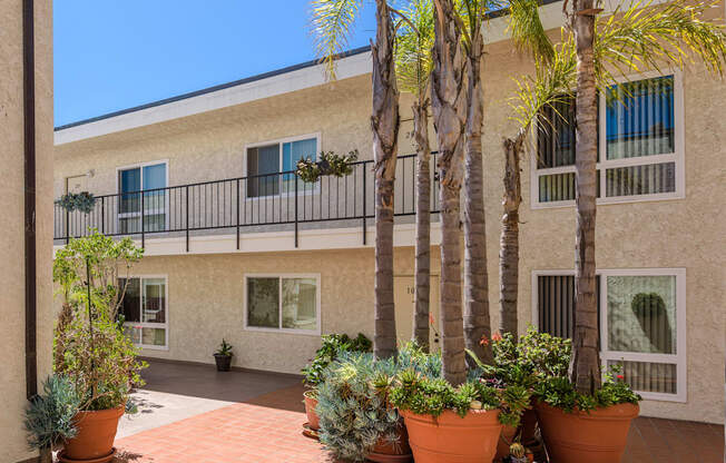 the outside of a building with potted plants and palm trees