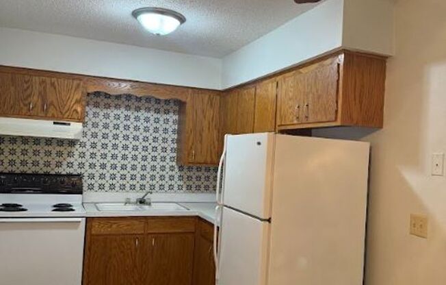 Beautiful Apartment in the Heart of Champlin, Minneapolis (Gas, Water & Trash Utilities Included!)