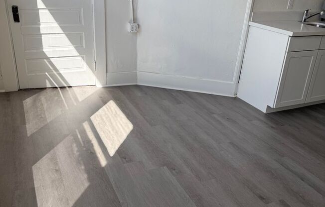 Studio, 1 bath, 250 sqft, $1,195, Unit 300