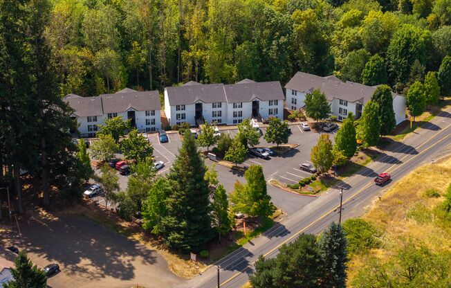 Bluebird Cozine Creek