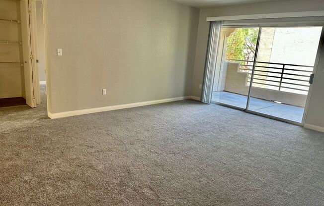 1 bed, 1 bath, $1,250