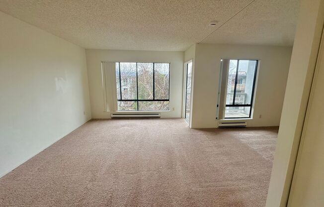 Studio, 1 bath, $1,995