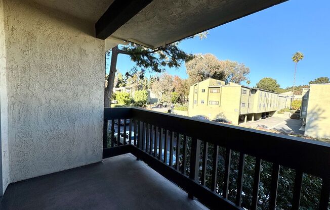 1 bed, 1 bath, $2,695, Unit Unit 211