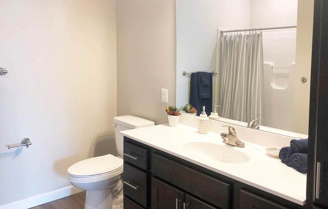 Warm Tone Bathroom, new, modern, Senior Apartment, Senior living, Maplewood, White Bear Lake, Saint Paul, Frost English Silver