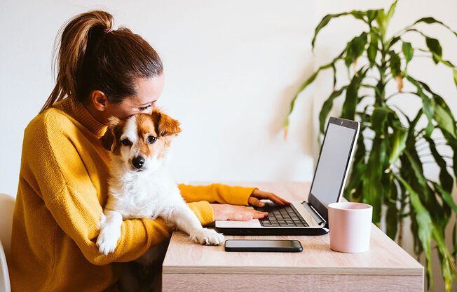 a woman sitting at a desk with a dog and a laptop at Brownstones at Palisade Park Townhomes, Broomfield