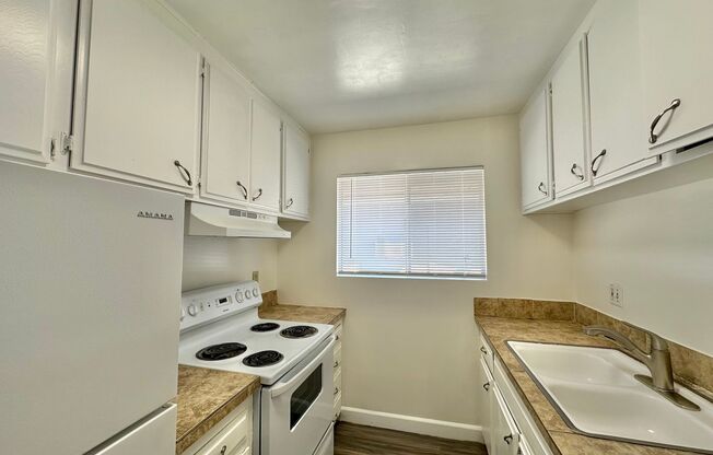 1 bed, 1 bath, $1,725, Unit 10