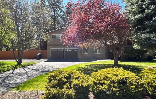 Country Living In The City - 3 Bedroom / 2 Bathroom Home on a Large Corner Lot