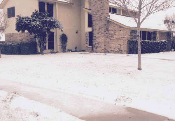 1604 ELK GRV DR