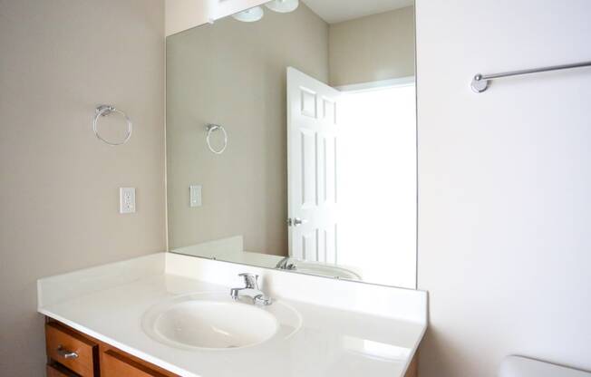 a bathroom with a sink and a large mirror