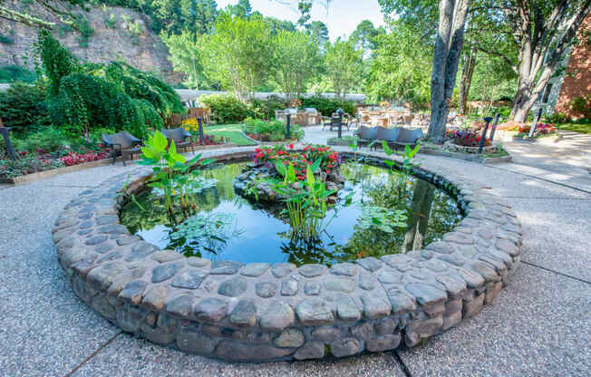 a small pond in the middle of a park