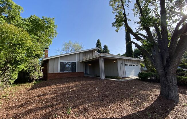 ALMADEN VALLEY - Spacious single story home with fenced yard, great location