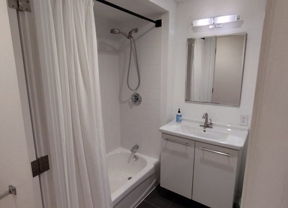 1 bed, 1 bath, $3,500, Unit 521