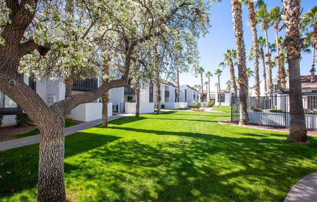 Grass Area at Townhomes on the Park in Phoenix Arizona