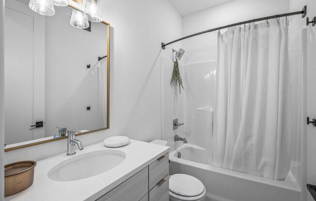 Studio, 1 bath, 382 sqft, $1,095, Unit 113