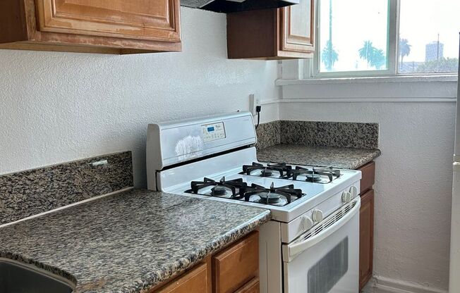 Studio, 1 bath, $1,595, Unit Unit 311