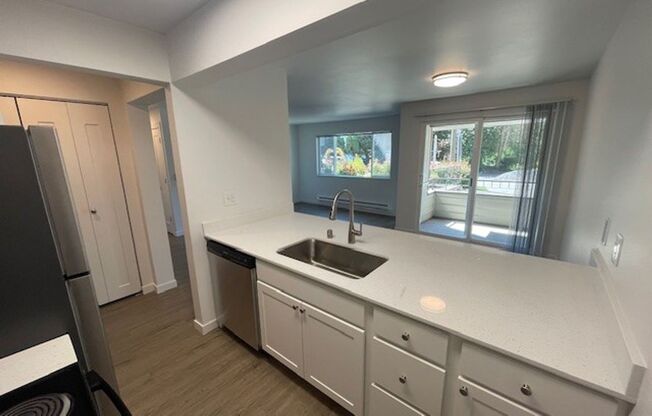 (1K) Kristine Apartments
