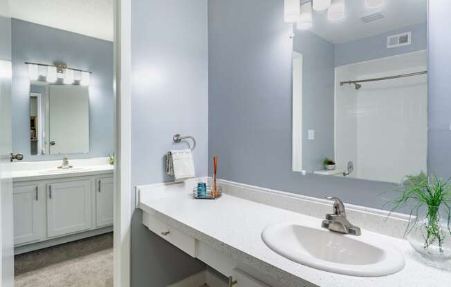 a bathroom with a sink and a mirror and a shower