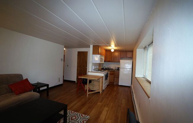 1 bed, 1 bath, $1,125, Unit BD