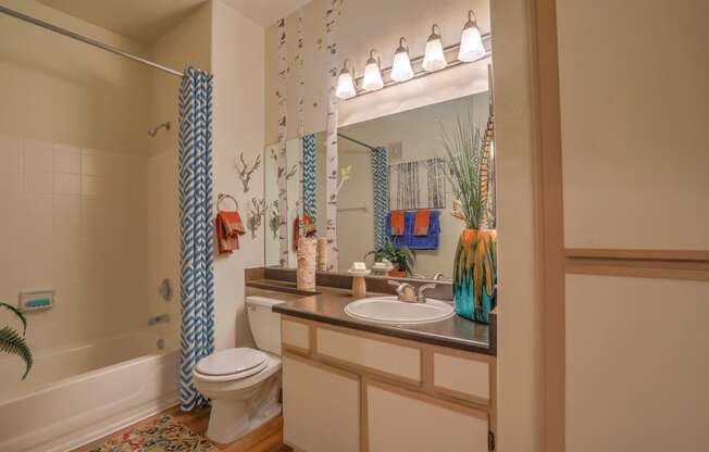 Bathroom Fitters at Arterra, Albuquerque, 87113