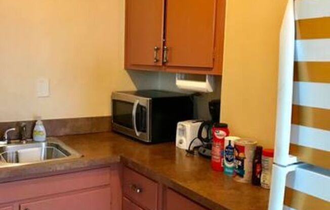 Furnished Move-In Ready Downtown 1br/1ba Apartment on the 5th floor with a Balcony