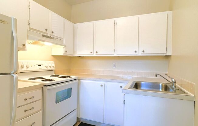 Studio, 1 bath, 525 sqft, $1,245, Unit 312