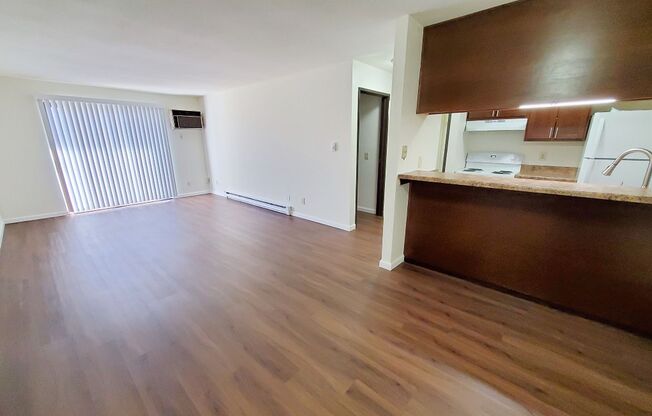 1 bed, 1 bath, 700 sqft, $1,169, Unit 2117-6