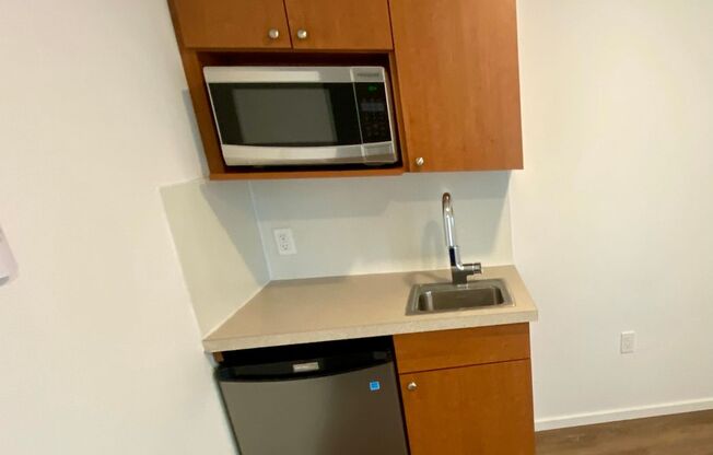 Studio, 1 bath, 175 sqft, $1,195, Unit 4315