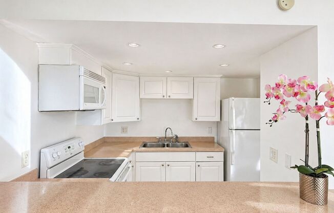 Welcome to Tampa Racquet Club – Where Comfort Meets Convenience!