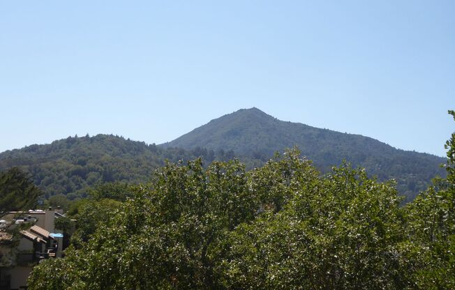 END UNIT CONDO IN SPYGLASS WITH STUNNING VIEW OF MOUNT TAM