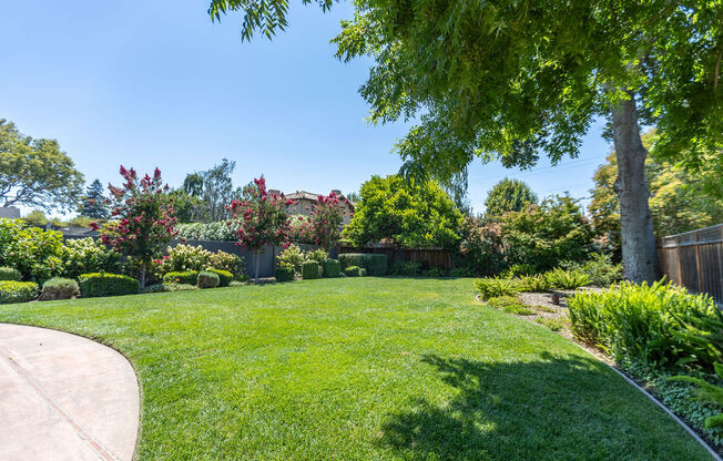 a backyard with a grass lawn and a tree