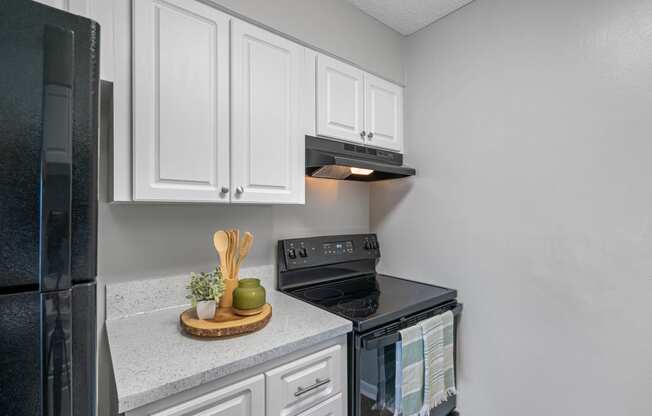 Kitchen with White Cabinetry