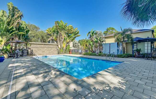 A swimming pool surrounded by palm trees and a patio area.