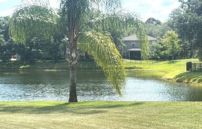 4 BR 3 BA     MAGNIFICENT HOME - Tidewater