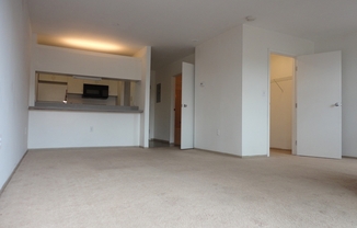 Studio, 1 bath, 454 sqft, $1,650, Unit 407