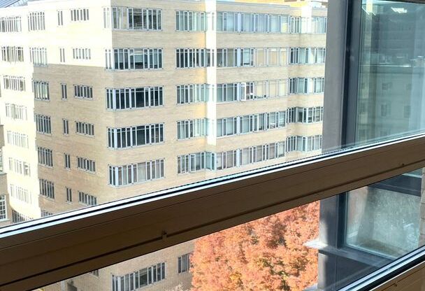 1 bed, 1 bath, $2,500, Unit 806