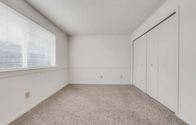 A room with a carpeted floor and a window with blinds.