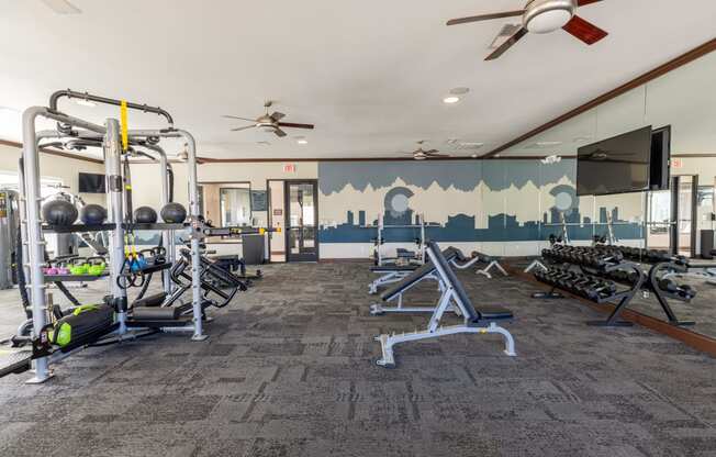 a gym with weights and cardio equipment and a mural of the city