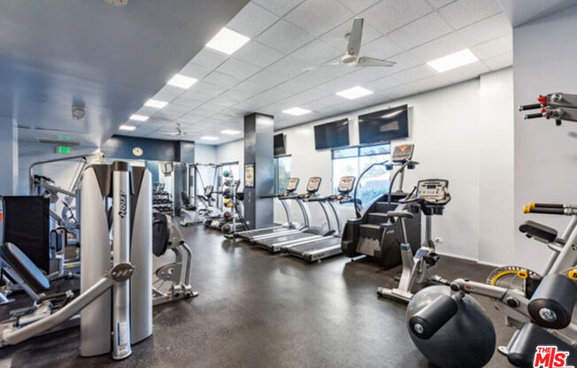 Studio, 1 bath, 600 sqft, $3,495, Unit 1012