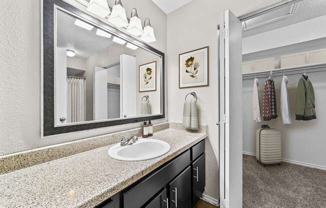a bathroom with a large mirror and a sink