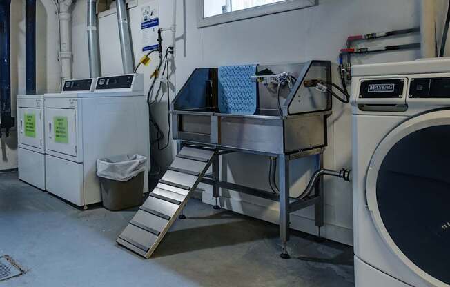 A large industrial washing machine is in the foreground of the image.