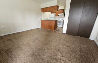 1 bed, 1 bath, 475 sqft, $639, Unit TP-5828