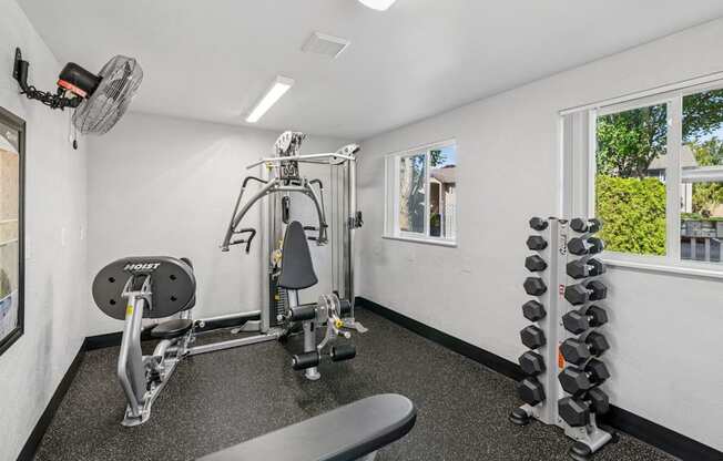 A well-equipped home gym with a variety of exercise equipment.