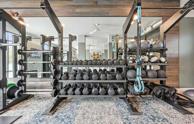 a gym with weights and balls on a rack at The Quarry Luxury Apartment Homes, Colorado, 80526